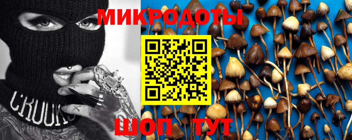 Галлюциногенные грибы Magic Shrooms  Вход с VPN  где продают   Всеволожск 